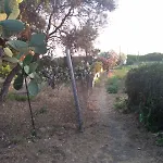 Apartamento Front Maria *